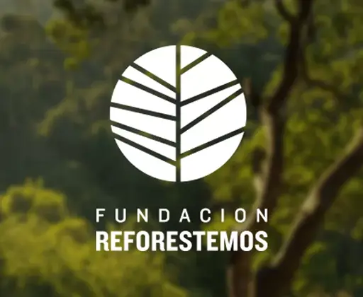 El mejor alojamiento web en Chile con conciencia ambiental 