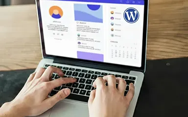 WordPress: Ventajas, desventajas ¿Sigue siendo el mejor de los CMS?